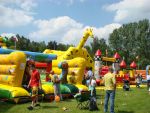 organizacja festynów