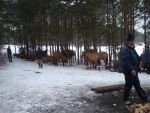 Imprezy Firmowe